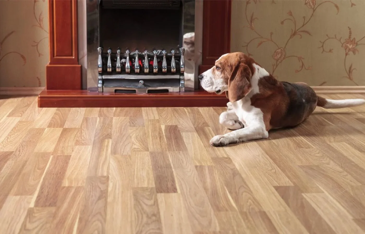 Best Flooring Options for Pet Owners: Durable and Stylish