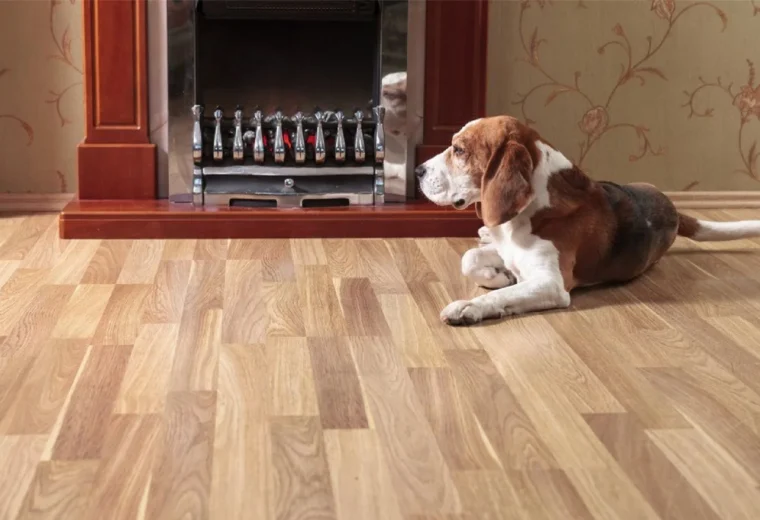 Best Flooring Options for Pet Owners: Durable and Stylish